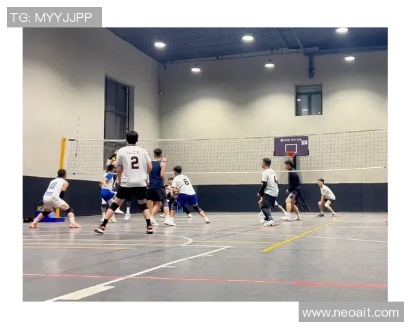 成都排球队比赛经验引发热议球迷观点各异争论不断